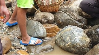 Duwali Fishing in Nepal | Himalayan Trout Fishing in Nepal |