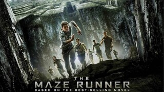 The Maze Runner วงกตมฤตยู [แนะนำหนังดัง]