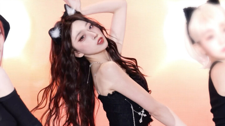 AOA - Catwalk Charm: The Young Master and Miss Have Turned into Cats