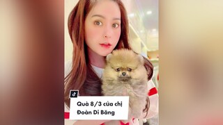 Hành trình về nhà mới của bé Win. Quà 8/3 của anh   tặng chị  💕💕 hogipom xuhuong doandibang pomeranian phốcsóc thúcưng thucung fyp puppy