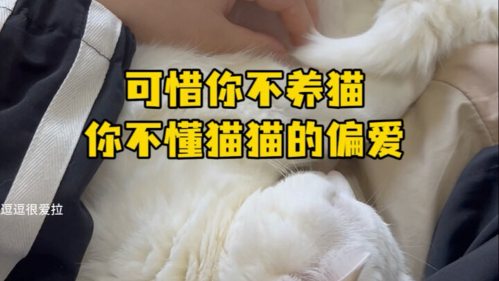 น่าเสียดายที่คุณไม่เลี้ยงแมว จึงไม่เข้าใจความชอบพิเศษของเจ้าเหมียว