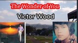 THE WONDER OF YOU with LYRICS | VICTOR WOOD #victorwood  #oldiesbutgoodies  #bringbackmemories
