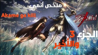 ملخص أنمي Akame ga Kill | القسم الثالث والأخير