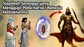 SIAPAKAH SERANGGA YANG MENGGIGIT PAHA KARNA? RAHASIA MAHABHARATA!