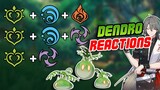 All you Need To Know About The New Dendro Reactions! Bloom & Catalyze!