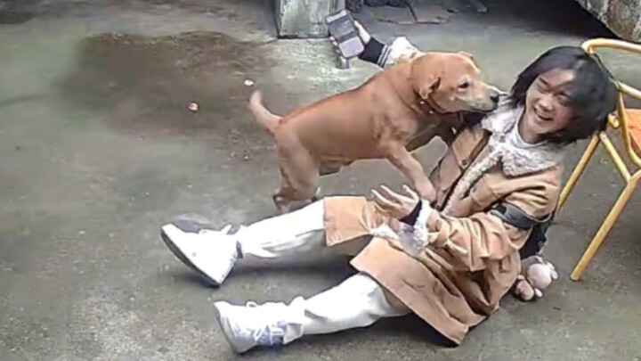 Anak anjing tidak peduli seberapa sukses kamu di luar sana; cinta mereka selalu tulus dan penuh sema