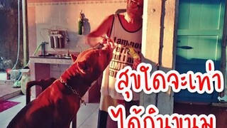 สุขใดจะเท่าได้กินขนม