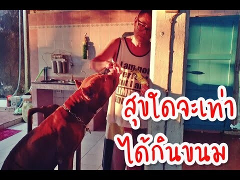 สุขใดจะเท่าได้กินขนม