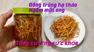 Cách ngâm Đông trùng hạ thảo với mât ong, rất tốt cho sức khỏe- Nghệ thuật góc bếp