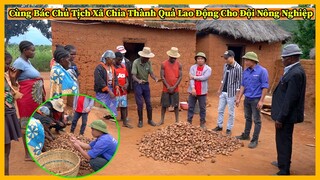 Nông Nghiệp VIỆT NAM ở Châu Phi || Cùng Bác Chủ Tịch Xã Chia Thành Quả Lao Động Của Đội Nông Nghiệp