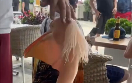 Cyprus: A pelican that often comes to a restaurant to beg for food is personally welcomed into the e