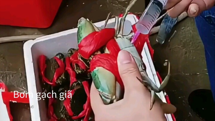 Cua biển bơm gạch giã