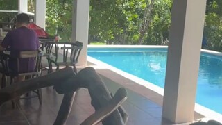 真的，有些人昨天去世之前还计划了今天的事，有的人早上还计划了下午的事，但突然之间就不在了，人生啊，蝇营狗苟，可能你当下随意度过的一分钟，就是无数人抹不去的遗憾，宇宙之大，我们不过是匆匆的过客而已，且