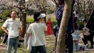 ชายหนุ่มเขย่าต้นซากุระอย่างแรง คุณป้าพยายามห้ามปราม ชาวเน็ตบอก: เขย่าเสร็จแล้วคนอื่นจะดูอะไรล่ะ?