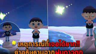 เหตุการณ์ที่เจอได้ยาก คำอธิษฐานจากฝนดาวตก Animal Crossing