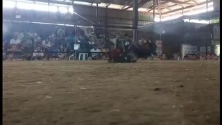 sinewerte tayo mga idol