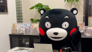 【Kumamon Edition】 Đảo Kho Báu Mới