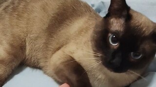 Orang menjengkelkan, apakah kamu ingin merasakan genggaman tak terkalahkanku?