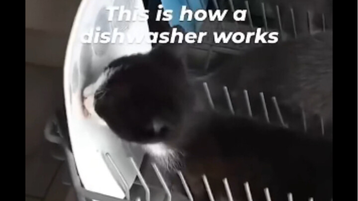 This is actually how a dishwasher works