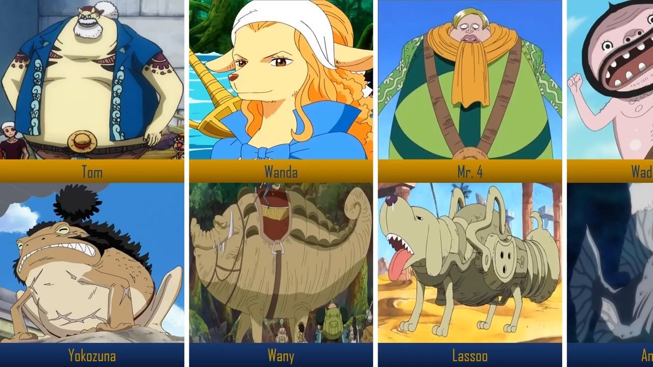 One Piece Characters And Their Pets Bilibili