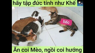 Khế thúi nhường đàn em ăn trước