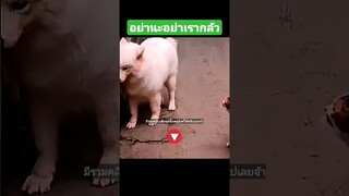 อย่านะอย่าเรากลัว