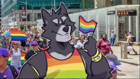 Amicus! Wolf of #pridemonth || Furry_irl