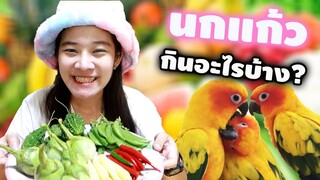 บ้านดับเบิ้ลทูให้นกแก้วกินอะไรบ้าง มีสูตรเด็ด