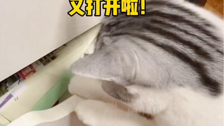 Are you possessed or something?! You’ve learned how to open drawers on your own?!