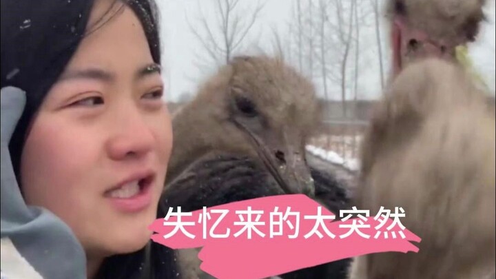 It’s so cold it froze my brain; sorry, everyone.