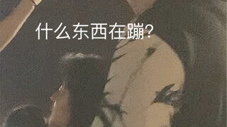 第一次来北方，看不见一点。