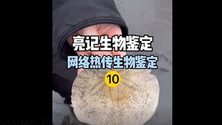 【التعرف الحيوي على ليانغجي】التعرف الحيوي على الإنترنت أصبح شائعًا مؤخرًا 10