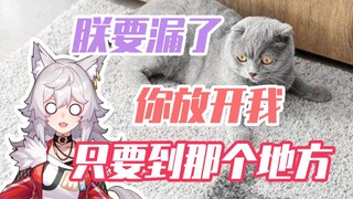 被猫猫尿了一身的初体验