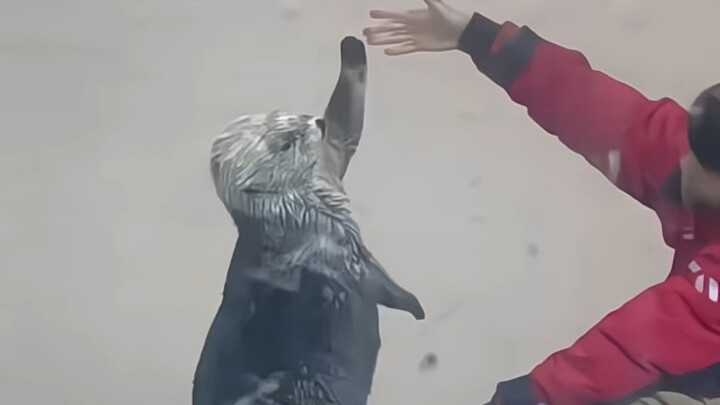 Em bé ngoan quá, nó thậm chí còn nghĩ rằng phải kiễng chân lên mới có thể chạm được tay mới đúng chu