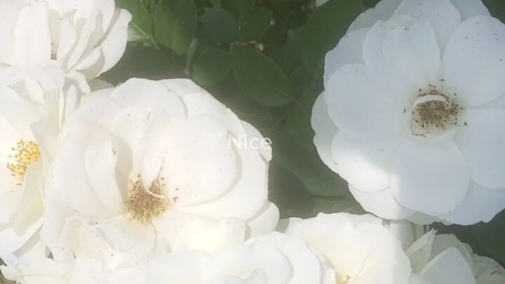 #highlights #quran #foryou #viralvideo