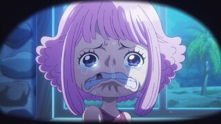 Akhirnya kuma & ginny bebas dr perbudakan | One Piece 1130