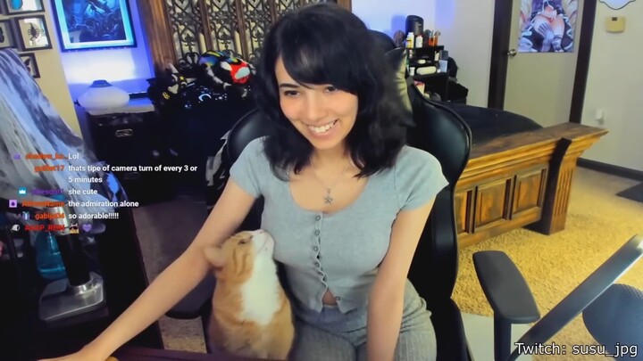 Best Cat Videos of the Decade