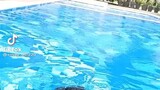 swim at the pool