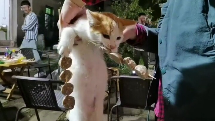 Lòng tham hiển hiện