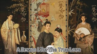 24/16 真爱般的梦想 A Dream Like The True Love 2025 ..... ❤️🇨🇳