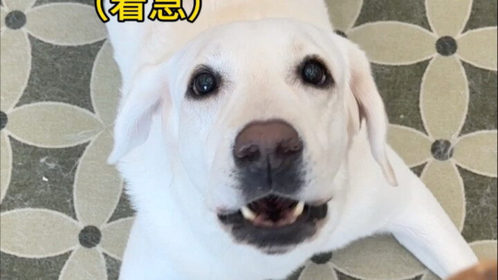 ما مدى انزعاج ميا من ابنتها حقًا؟