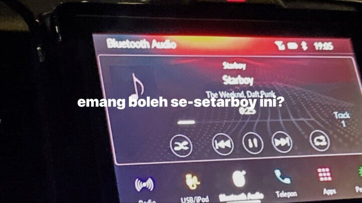 Setarboy berkedok starling