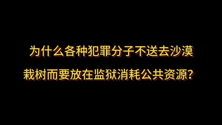 Tại sao không đưa các tội phạm đi trồng cây ở sa mạc mà lại nhốt họ trong tù, tốn kém nguồn lực công