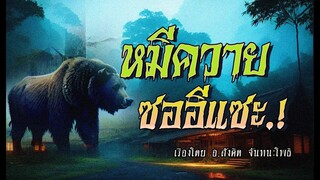 หมีควายซออีแซะ.! (ตอนเดียวจบ)