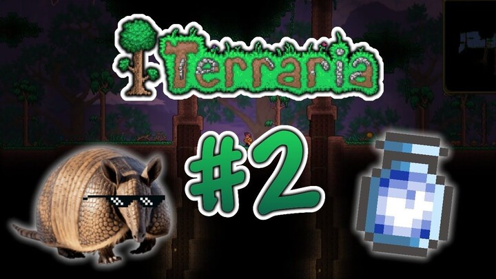 Terraria #2 O INÍCIO DA EXPLORAÇÃO!