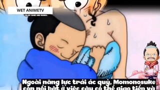 Top 8 Người Vô Tình _Ăn_ Trái Ác Quỷ trong One Piece #18 5