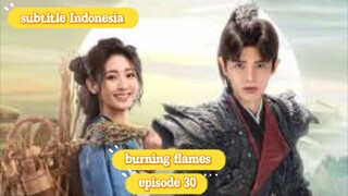 burning flames sub indo episode 30