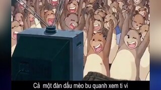 Anime : Gấu mèo biến hìnhhhh🐾