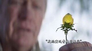 我让你返老还童，你却离我而去