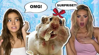 SURPRISING MY SISTER WITH A NEW PET **SHE CRIED** Emotional Reaction with Brighton Sharbino